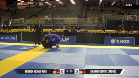 Brandon Michael Webb vs Fernando Gouveia Cardoso 2025 Pan Jiu Jitsu IBJJF Championship