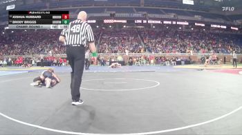 D2-165 lbs Champ. Round 1 - Brody Briggs, Lake Fenton vs Joshua Hubbard, New Boston Huron