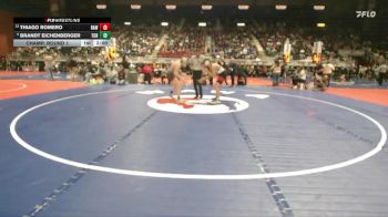 3A-175 lbs Champ. Round 1 - Brandt Eichenberger, Torrington vs Thiago Romero, Rawlins