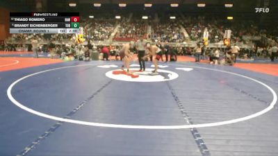 3A-175 lbs Champ. Round 1 - Brandt Eichenberger, Torrington vs Thiago Romero, Rawlins