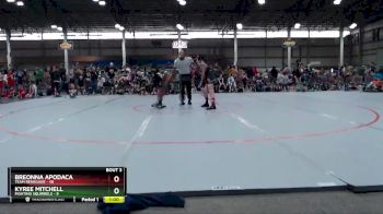 110 lbs Round 2 (4 Team) - Breonna Apodaca, Team Renegade vs Kyree Mitchell, Fighting Squirrels