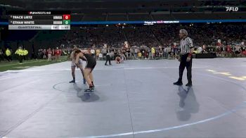 D3-157 lbs Quarterfinal - Trace Lietz, Armada vs Ethan White, Birch Run