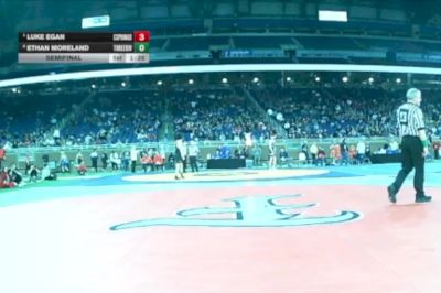 D2-144 lbs Semifinal - Luke Egan, Cedar Springs vs Ethan Moreland, Three Rivers