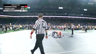 D1-138 lbs Semifinal - Bohdan Abbey, Hartland vs Valentino Adamo, Romeo