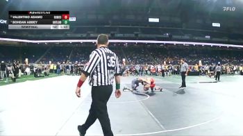 D1-138 lbs Semifinal - Bohdan Abbey, Hartland vs Valentino Adamo, Romeo