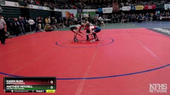 135 lbs Semifinal - Matthew Mitchell, Colony High School vs Kaden Bush, North Pole Patriots