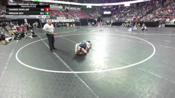 D3-106 lbs Quarterfinal - Reegan Roy, Wabeno/Laona/Three Lakes vs Zander Mueller, Brillion