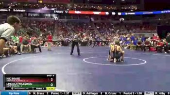 113 lbs Consolation Wb - Lincoln Wilcoxon, 8-Emmetsburg vs Nic Brase, 4-Nashua-Plainfield