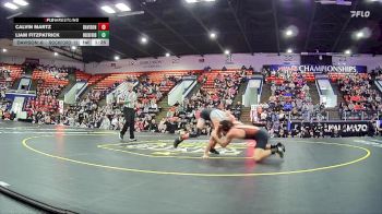 138 lbs Quarterfinals (8 Team) - Calvin Martz, Davison HS vs Liam Fitzpatrick, Rockford HS