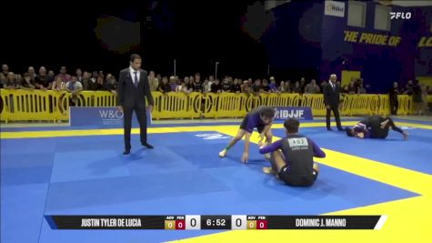 Dominic J. Manno vs Justin Tyler De Lucia 2025 Pan IBJJF Jiu-Jitsu No-Gi Championship