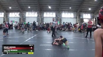 52 lbs Round 4 (6 Team) - Matteo Bodrog, Olympia vs Ryley Herwig, Warhawks