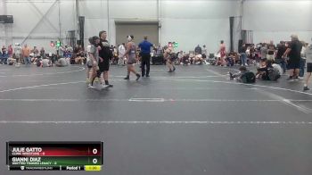 98 lbs Placement (4 Team) - Gianni Diaz, Whitted Trained Legacy vs Julie Gatto, Clinic Wrestling