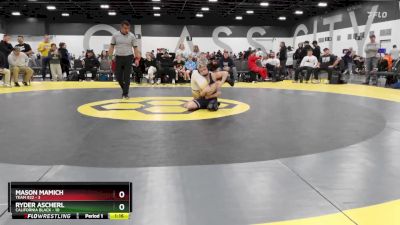 100 lbs Semis & 1st Wrestleback (8 Team) - Ryder Ascherl, California Black vs Mason Mamich, Team 922