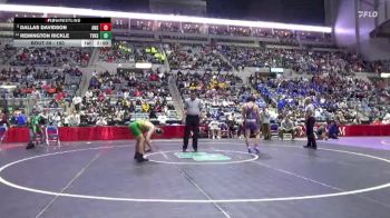 150 lbs Champ. Round 1 - Dallas Davidson, Angola vs Remington Rickle, Tippecanoe Valley