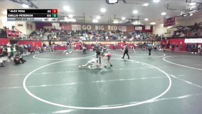 113 lbs Cons. Round 4 - Emillio Peterson, Madison vs Alex Vega, Minico