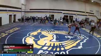 165 lbs Quarterfinal - Jailen Tatum, Rochester vs Chris Mills, Albion