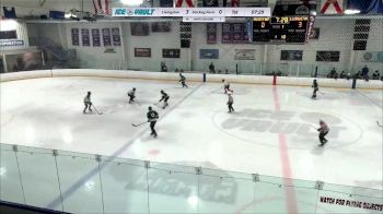 Replay: Home - 2024 Livingson MS vs Hockey Farm MS | Apr 6 @ 11 AM