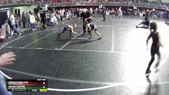 59-62 lbs Quarterfinal - Addison DeBlauw, Crofton/Bloomfield vs Sophia Guiffre, Beatrice Wrestling Club