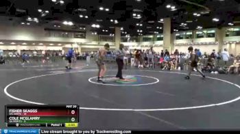 138 lbs Round 4 (10 Team) - Cole Mcglamry, GA Misfits vs Fisher Skaggs, STL White