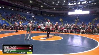 113 lbs Quarterfinals (8 Team) - Triton Pulfrey, Port Byron (Riverdale) vs Cooper Morris, Coal City