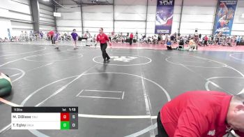 113 lbs Rr Rnd 3 - Michael DiBiase, Triumph Maize vs Thomas Egley, Great Bridge