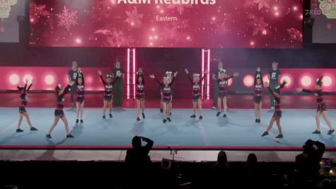 A&M Redbirds [2025 Show Cheer 1 - Jr. Pee Wee - Medium A] 2025 Pop Warner National Cheer & Dance Championship