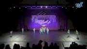 Star Steppers Dance - Mini Large Pom [2025 Mini - Pom - Large Day 2] 2025 Power Dance Grand Nationals