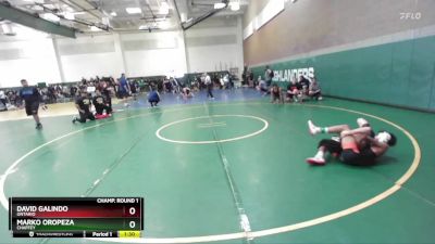 113 lbs Champ. Round 1 - David Galindo, Ontario vs Marko Oropeza, Chaffey