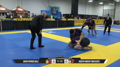 Joseph Vincent Indelicato vs David Patrick Galli 2026 Pan IBJJF Jiu-Jitsu No-Gi Championship
