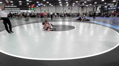 85 lbs Consi Of 32 #2 - Caleb Fralick, PA vs Dexter Galofaro, VA