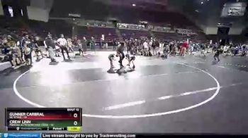45 lbs Round 3 (10 Team) - Crew Linn, Pomona Elite/Wrecking Crew vs Gunner Carbral, NE Titans
