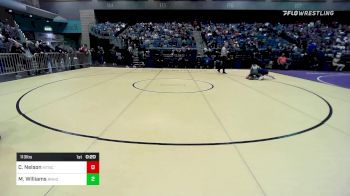 113 lbs Consi Of 32 #2 - Carter Nelson, Mountain Crest vs Marcus Williams, Rio Rancho