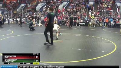 61 lbs Quarterfinal - Rock Otter, NBWC vs Knox McCoy, Cassopolis WC