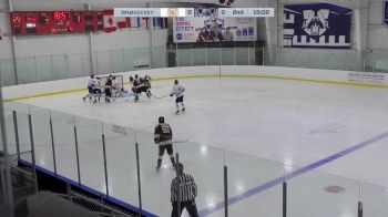 Replay: Home - 2025 Cubs vs WBS Knights | Jan 17 @ 12 PM