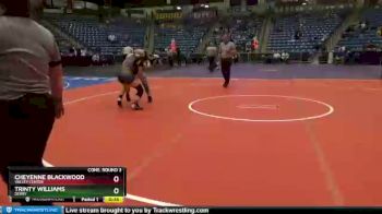 170 lbs Cons. Round 3 - Cheyenne Blackwood, Valley Center vs Trinty Williams, Derby