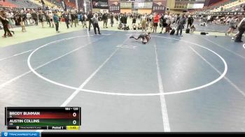 120 lbs Champ. Round 2 - Brody Buhman, IA vs Austin Collins, CO