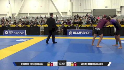 Michael Angelo Garganese vs Fernando Tovar Quintana 2025 World IBJJF Jiu-Jitsu No-Gi Championship