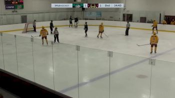 Replay: Home - 2025 Ducks vs Mullets | Mar 1 @ 12 PM