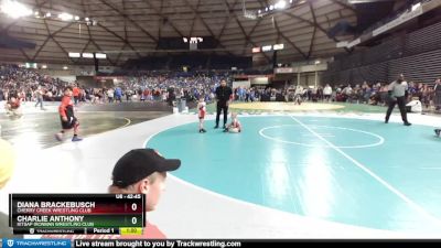 42-45 lbs Cons. Round 1 - Diana Brackebusch, Cherry Creek Wrestling Club vs Charlie Anthony, Kitsap Ironman Wrestling Club