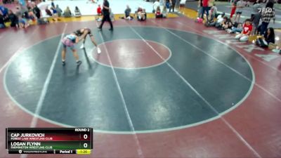 92 lbs Round 2 - Logan Flynn, Farmington Wrestling Club vs Cap Jurkovich, Forest Lake Wrestling Club