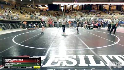 100 lbs Quarterfinal - Camdyn Elliott, Gulf Breeze vs Kohana Martinez, Zephyrhills