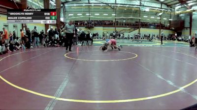 105 lbs Champ. Round 2 - Brooklyn Henry, Wyoming Seminary vs Mialee Copeland, Francis Howell High School