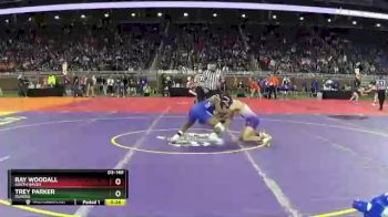D3-140 lbs Cons. Round 2 - Ray Woodall, South Haven vs Trey Parker, Dundee