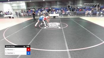 123 lbs Quarterfinal - Olivia Moreno, TX vs Carley Ceshker, WI