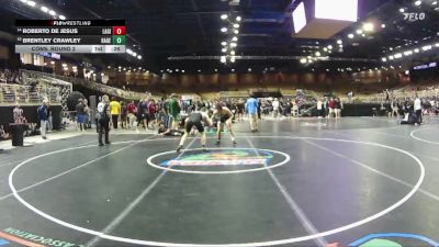 132 lbs Cons. Round 2 - Roberto De Jesus, Lake Gibson vs Brentley Crawley, Hagerty
