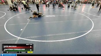 100 lbs Champ. Round 2 - Joshyonna Coppage-Dortch, NE vs Katie Biscoglia, IA