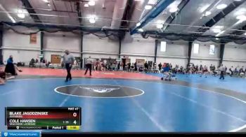 157 lbs Semifinal - Blake Jagodzinske, Augsburg vs Cole Hansen, Wisconsin-LaCrosse