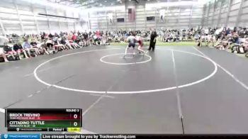 182 lbs Round 3 (8 Team) - Brock Trevino, Team Michigan Blue vs Cittadino Tuttle, Minnesota Blue