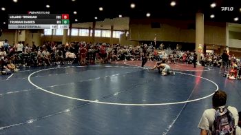 100 lbs Quarterfinal - Leland Trinidad, Scorpion Wrestling Club vs Truman Dames, RPA