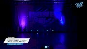 Dance Dynamics - Mini Large Variety [2023 Mini - Variety Day 2] 2023 ACP Power Dance Grand Nationals